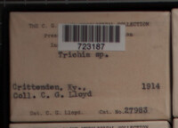 Image Associated With the Occurence